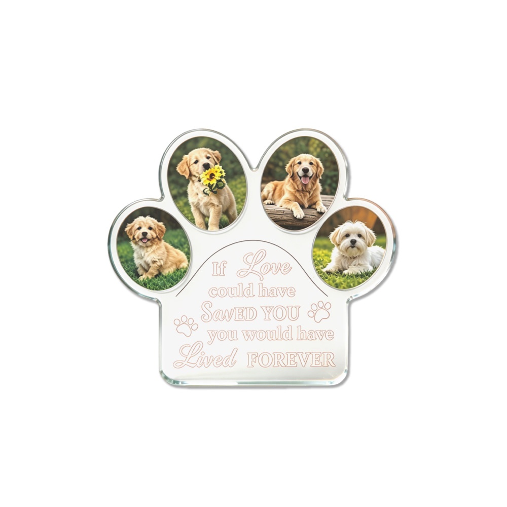 Photo Acrylic Block - 1Pc Plakat Akrilik Bentuk Cakar Hewan